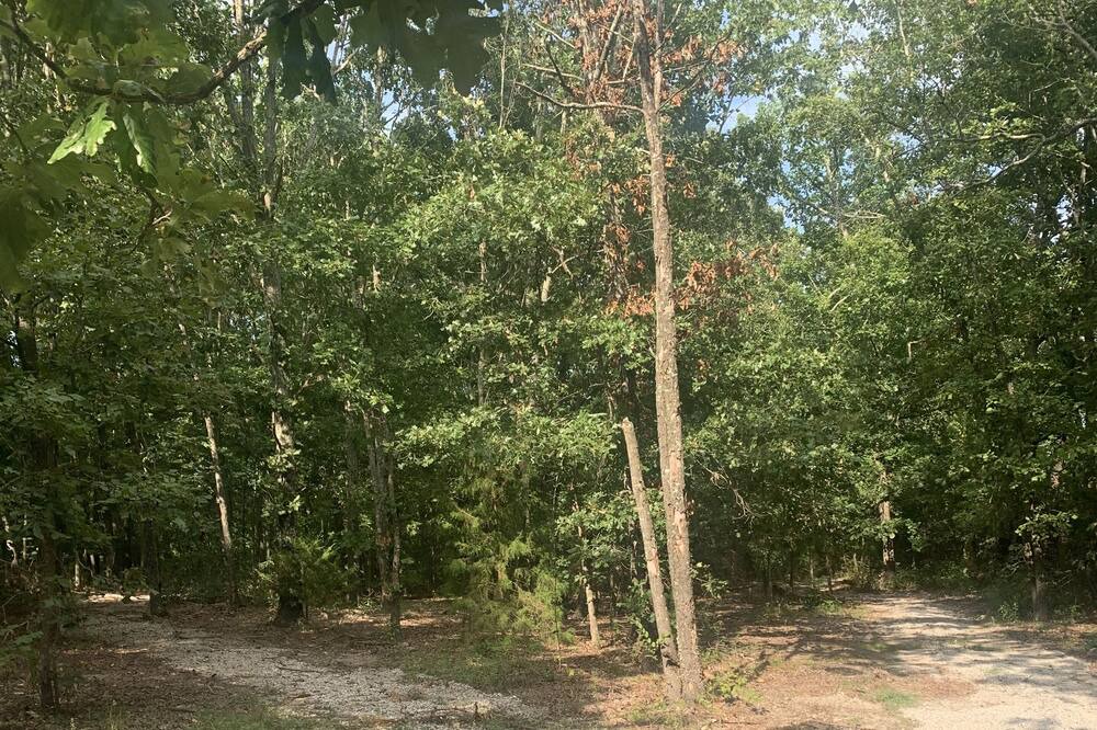 Photo of Outdoor in Squires