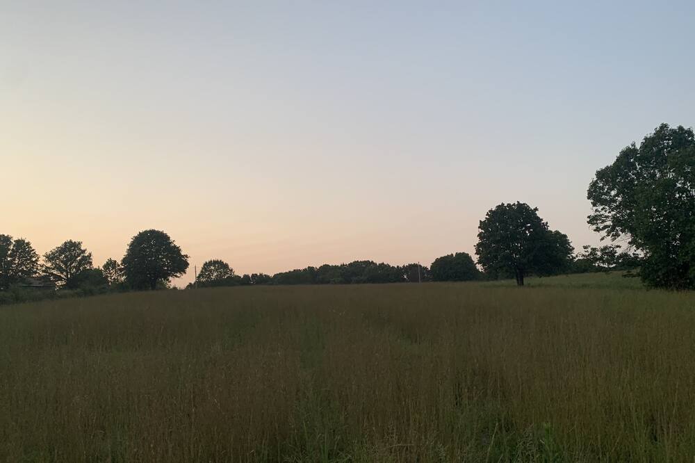 Photo of Outdoor in Squires