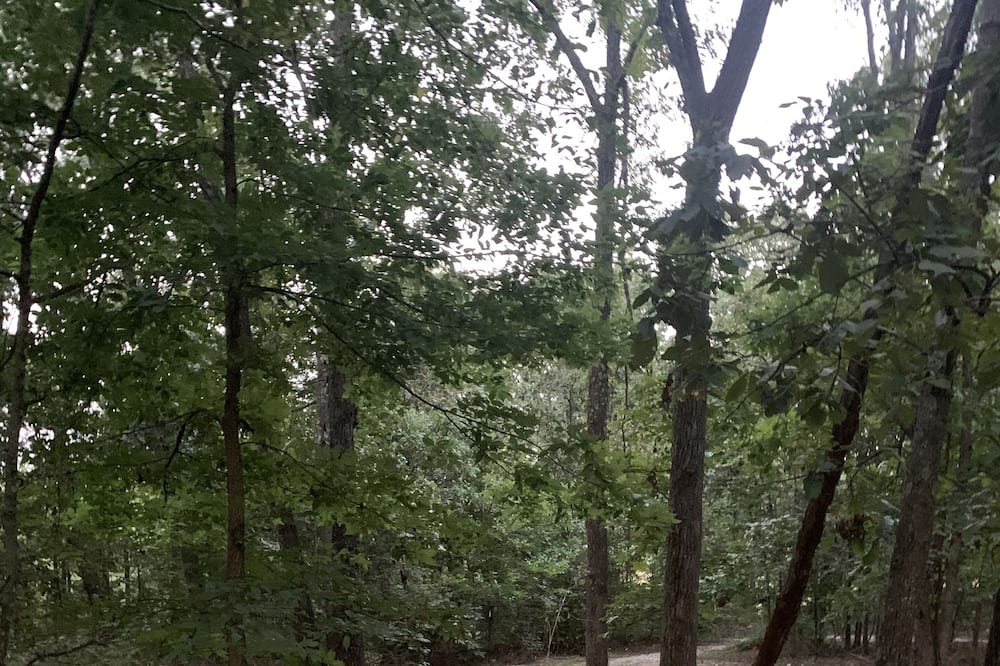 Photo of Outdoor in Squires