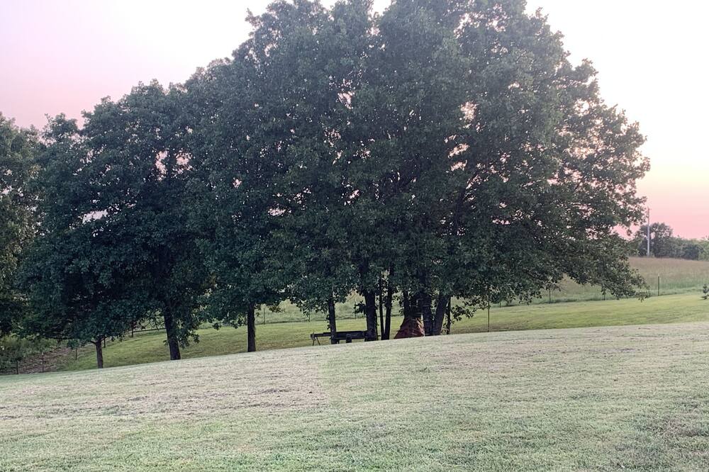 Photo of Outdoor in Squires