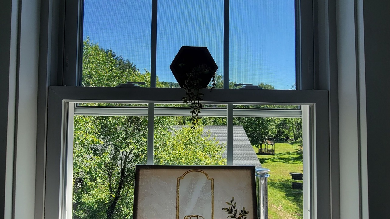 Photo of Others in South Kortright