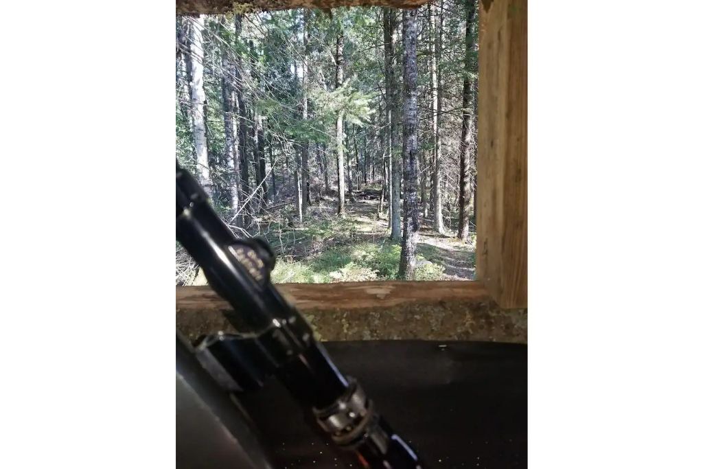Photo of Others in Goodman
