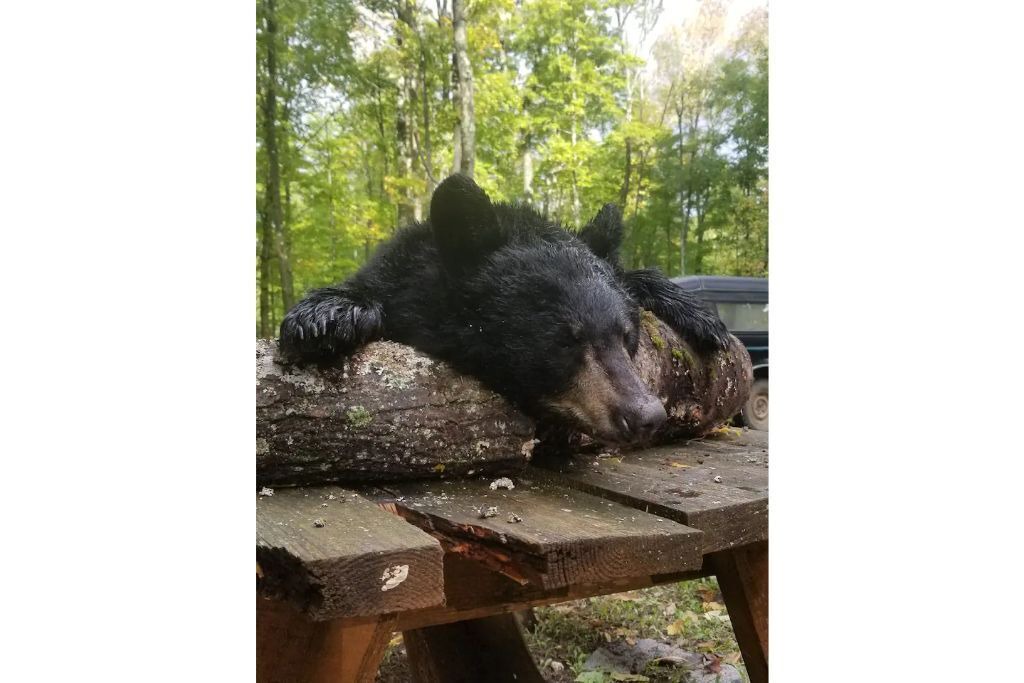Photo of Outdoor in Goodman