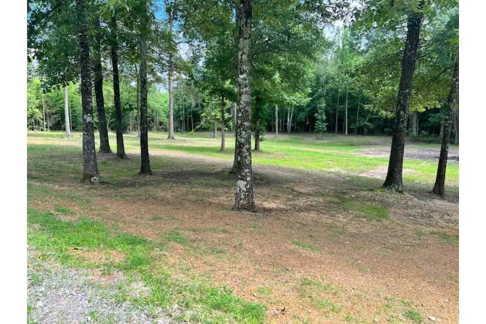 Photo of Outdoor in Kirby