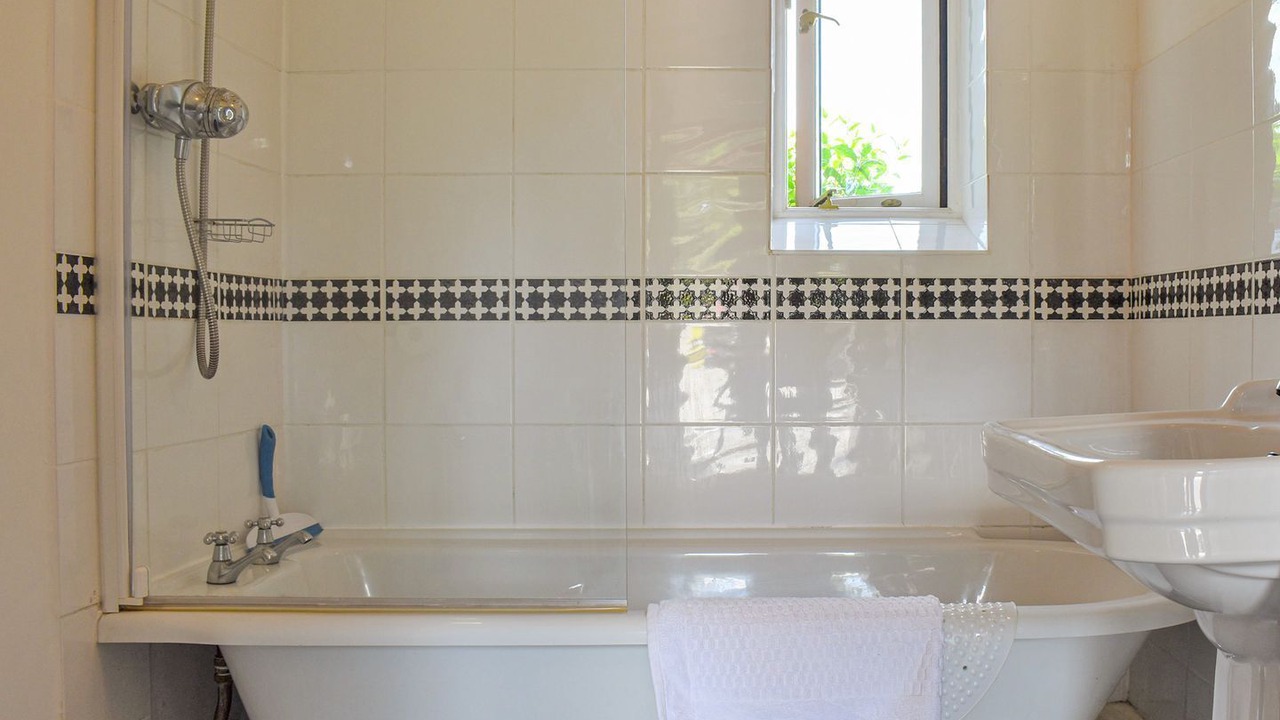 Photo of Others in Tavistock