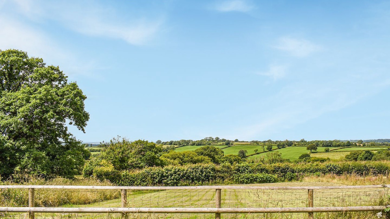 Photo of Others in Tavistock
