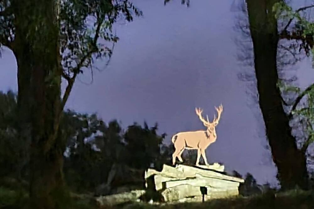 Photo of Outdoor in East Horrington