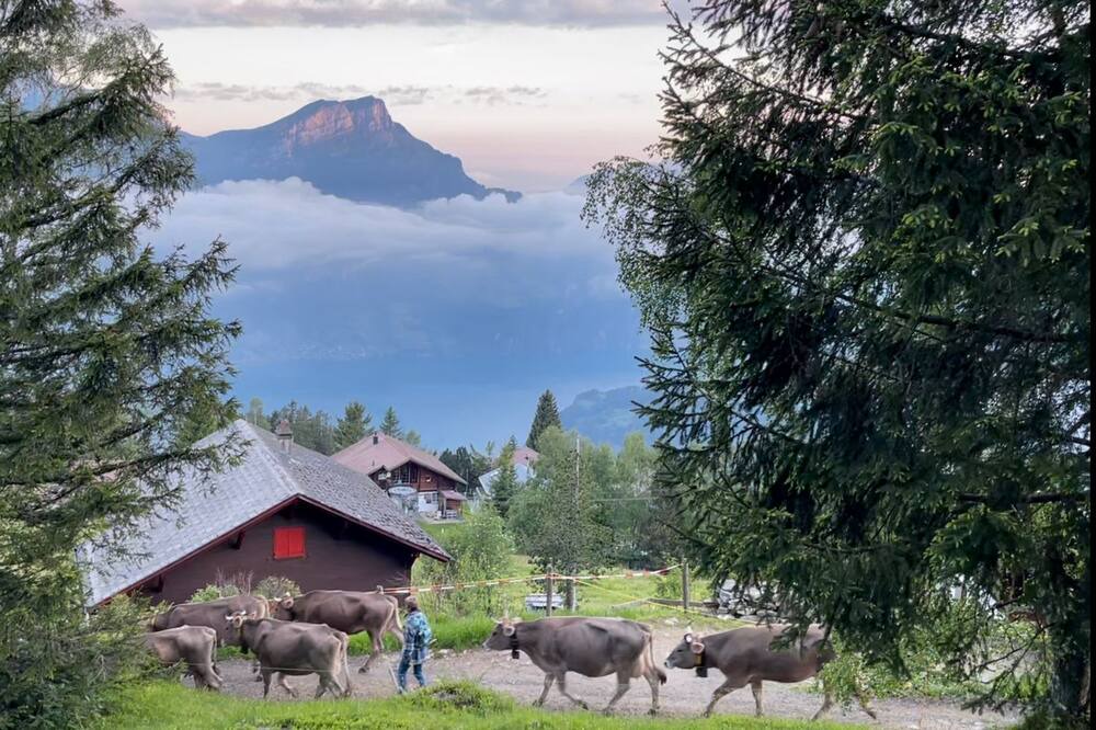 Photo of Outdoor in Altdorf