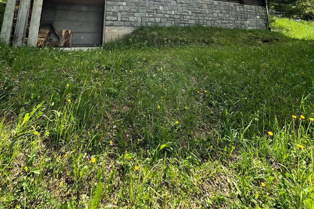 Photo of Outdoor in Altdorf