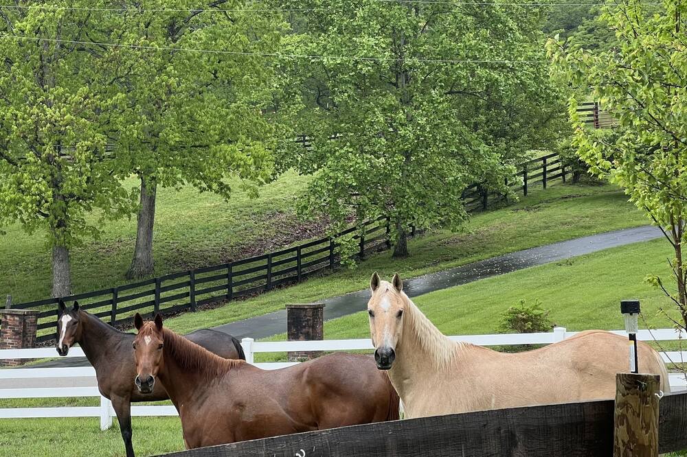 Photo of Outdoor in Berea