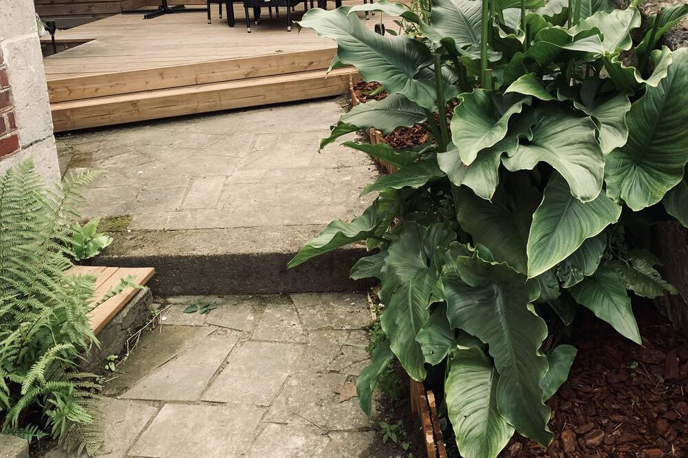 Photo of Outdoor in Pierrefonds