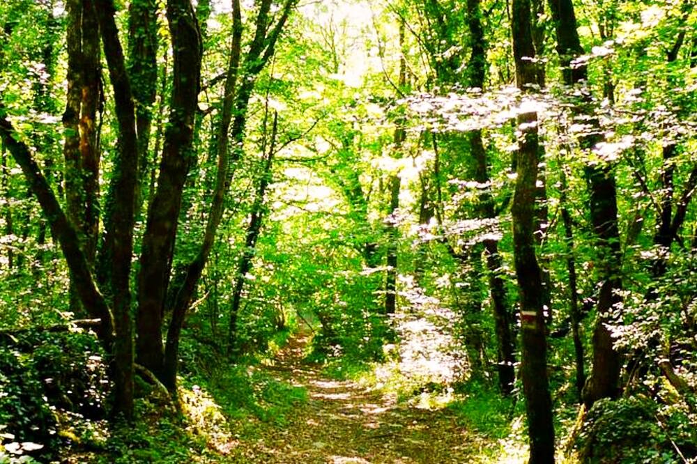 Photo of Outdoor in Gavaudun