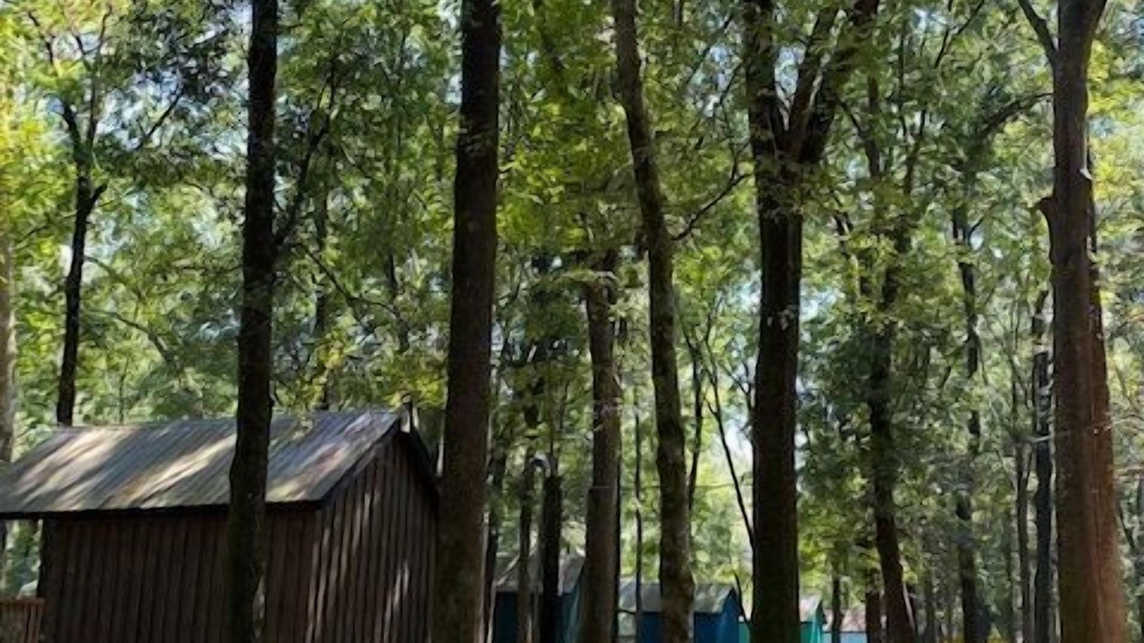 Photo of Outdoor in Juliette