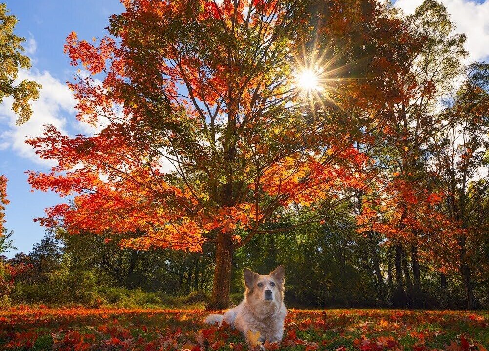 Photo of Outdoor in Cornwall