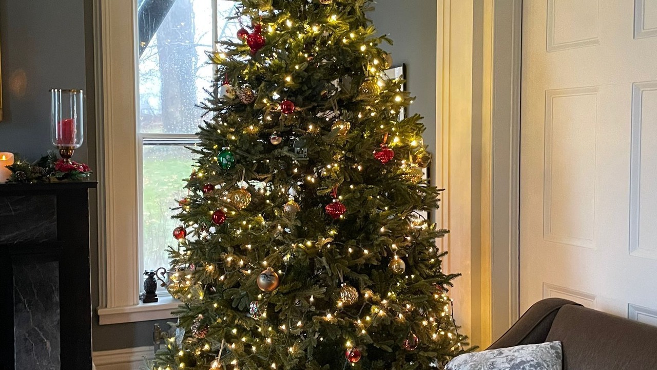 Photo of Others in Cornwall