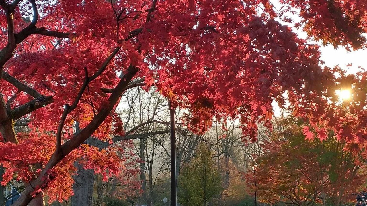 Photo of Outdoor in Cornwall