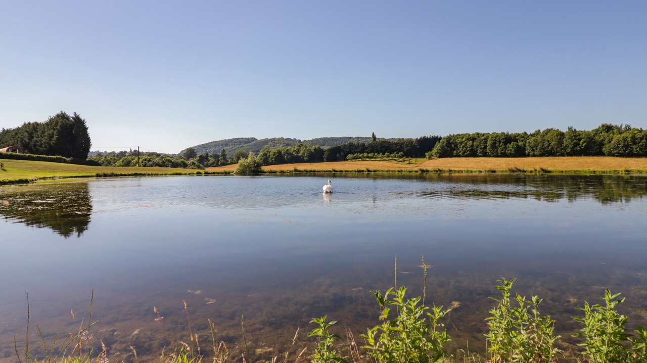 Photo of Outdoor in Great Witley