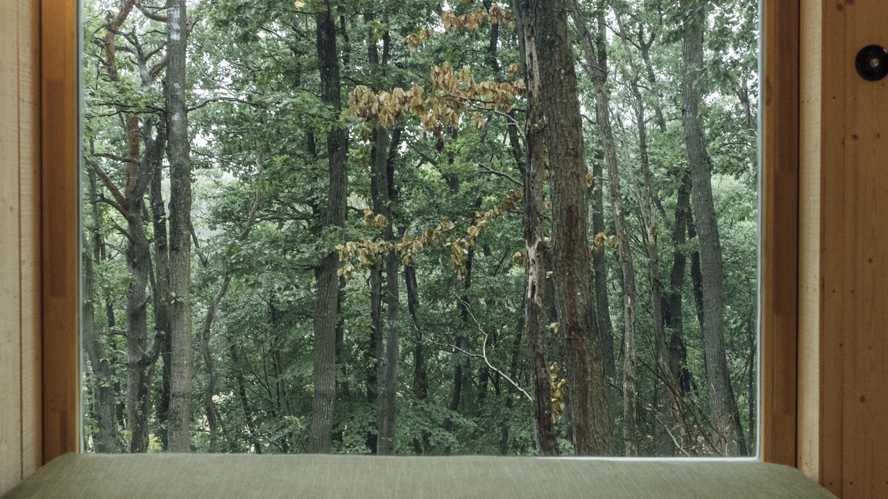 Photo of Bedroom in La Couture Boussey