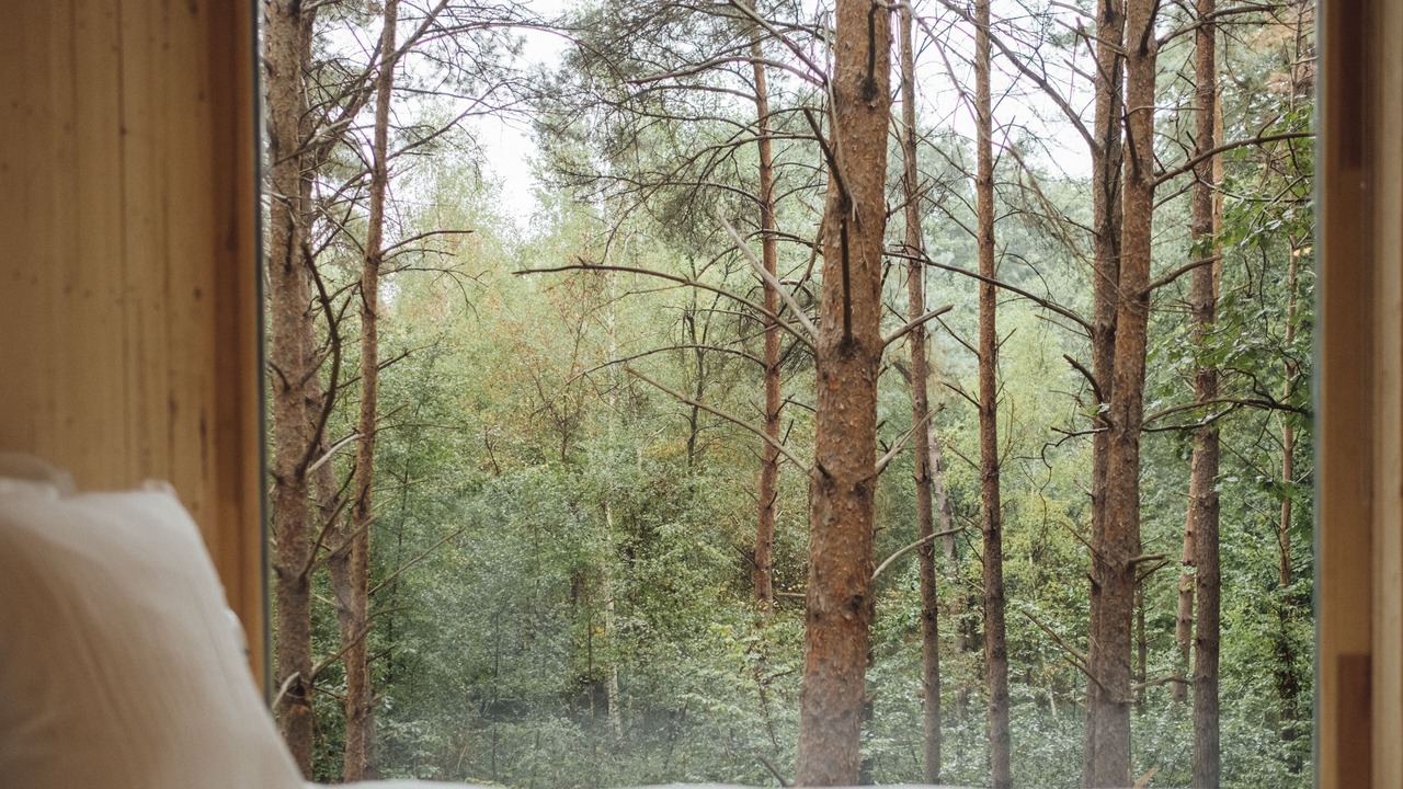 Photo of Bedroom in La Couture Boussey