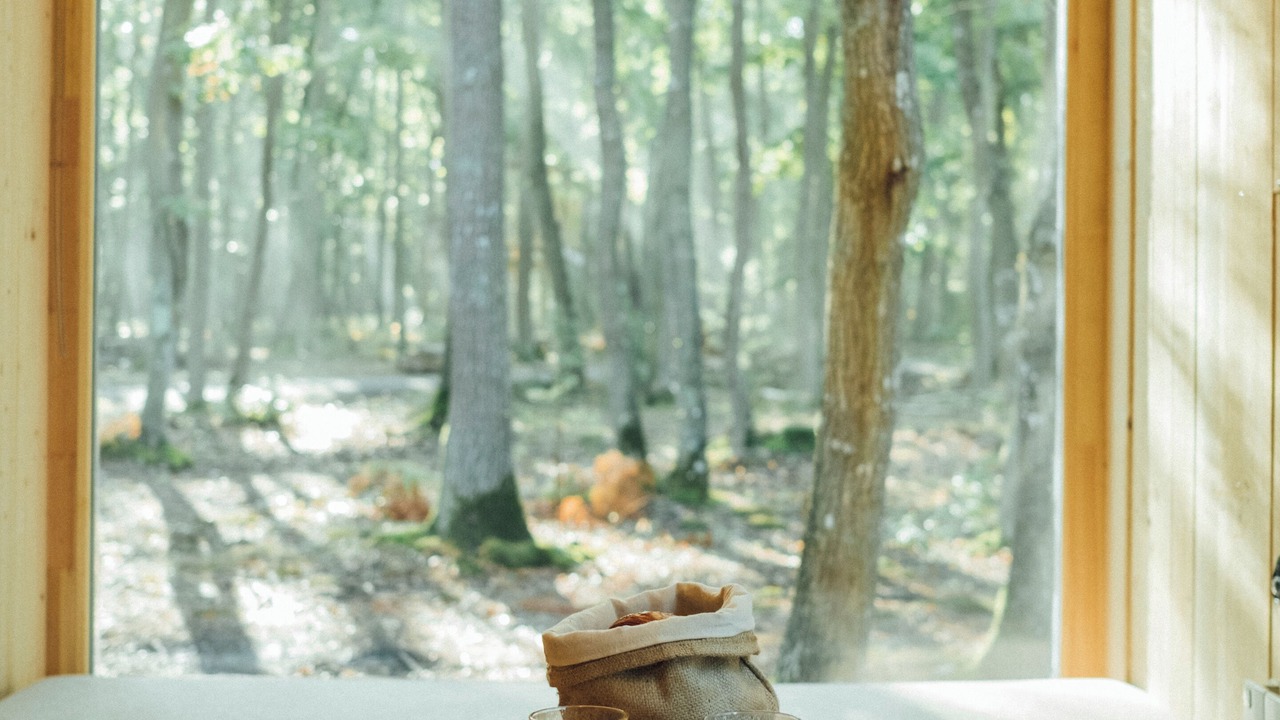 Photo of Others in La Couture Boussey