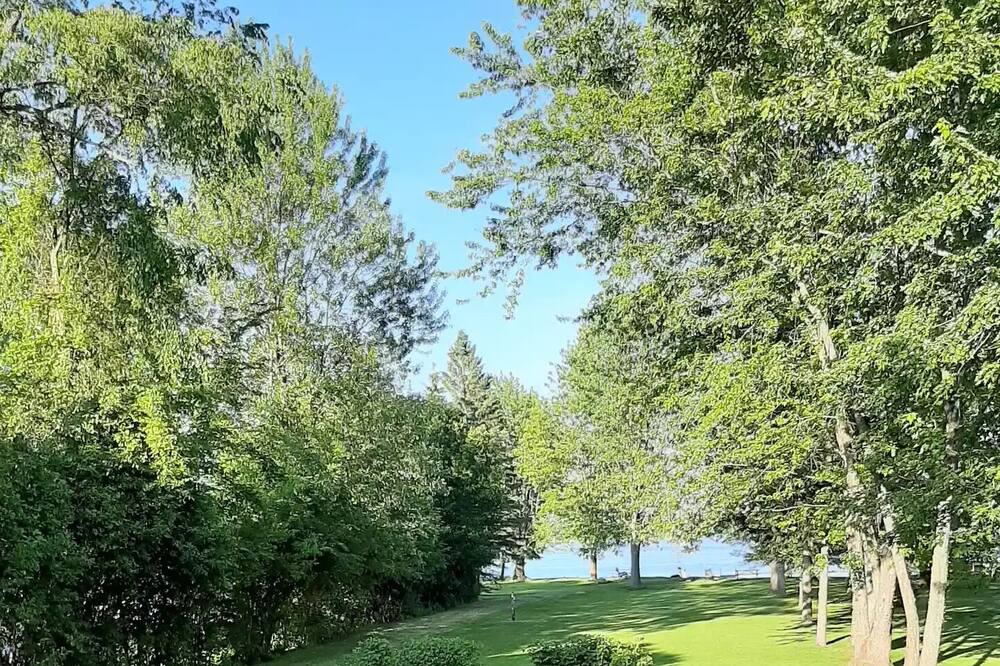 Photo of Others in Bobcaygeon