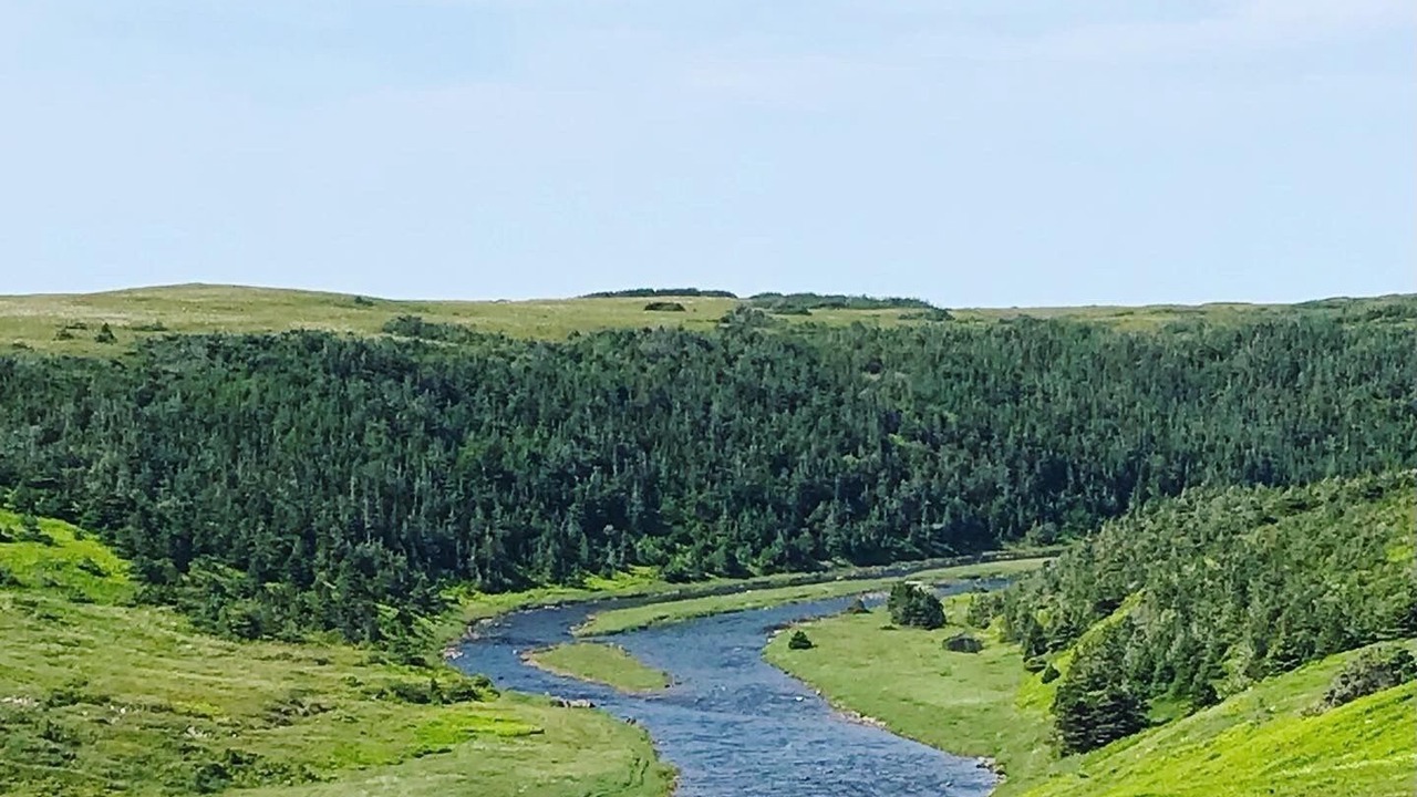 Photo of Outdoor in St. Vincent's-St. Stephen's-Peter's River