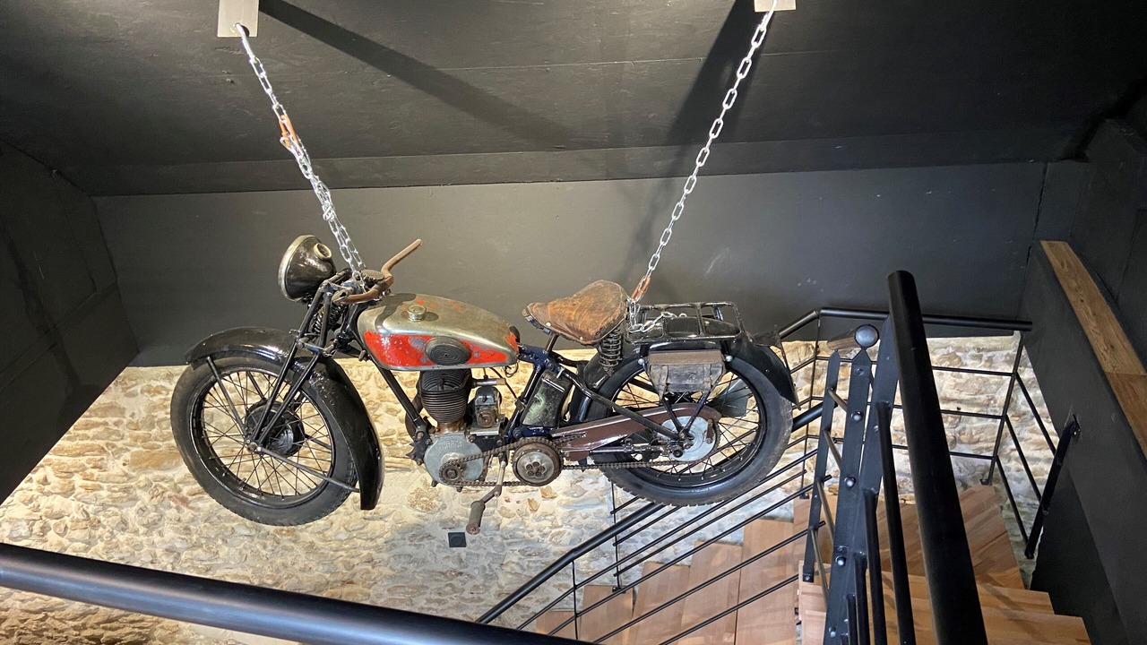 Photo of Others in Spay