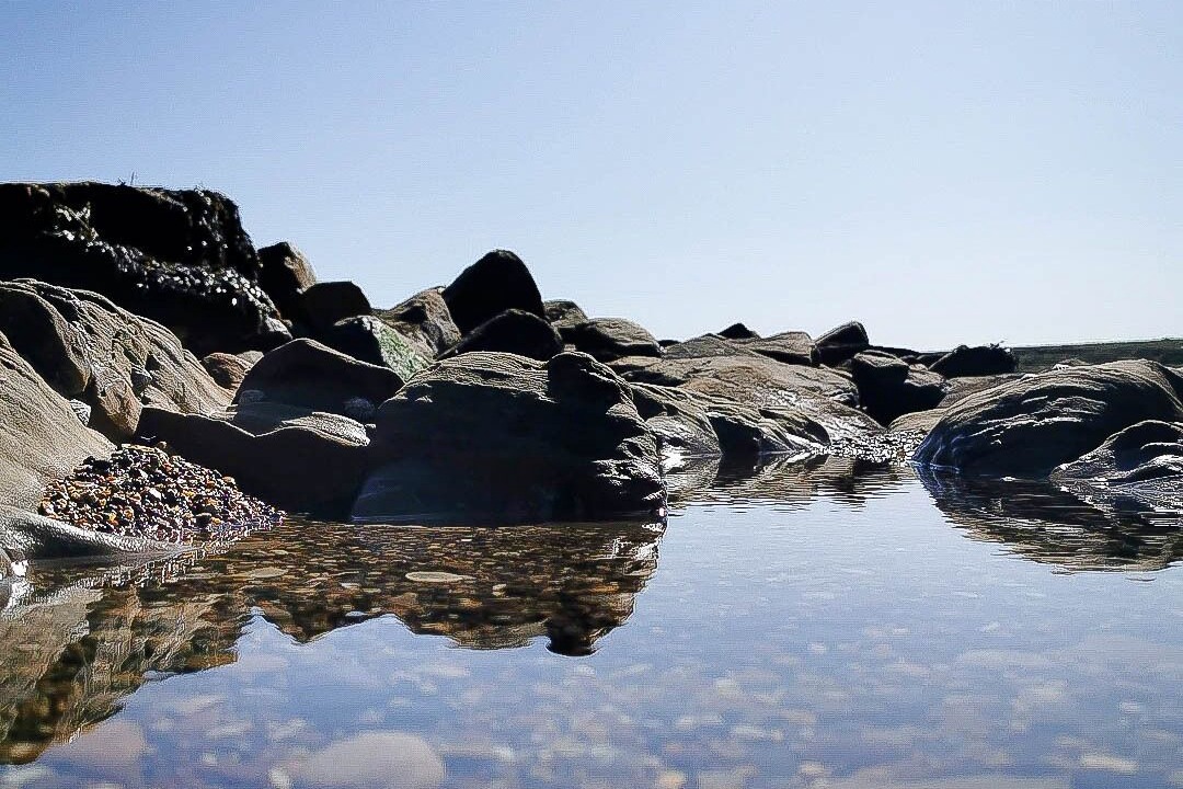 Photo of Outdoor in Seaton Sluice