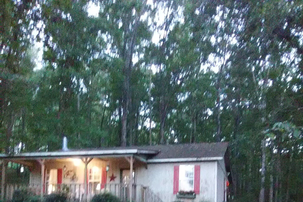 Photo of Outdoor in Felton