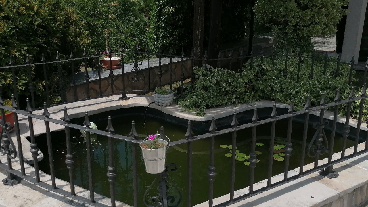 Photo of Others in Gracisce