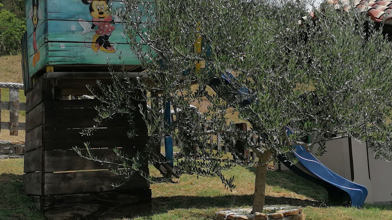 Photo of Outdoor in Gracisce