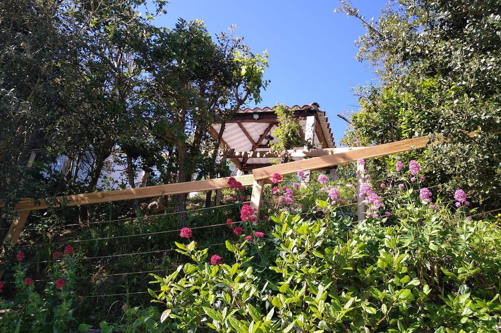 Photo of Outdoor in Oms