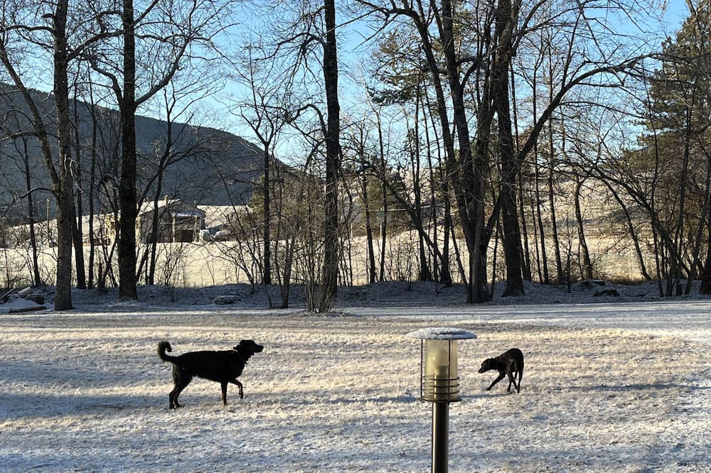 Photo of Others in Seranon