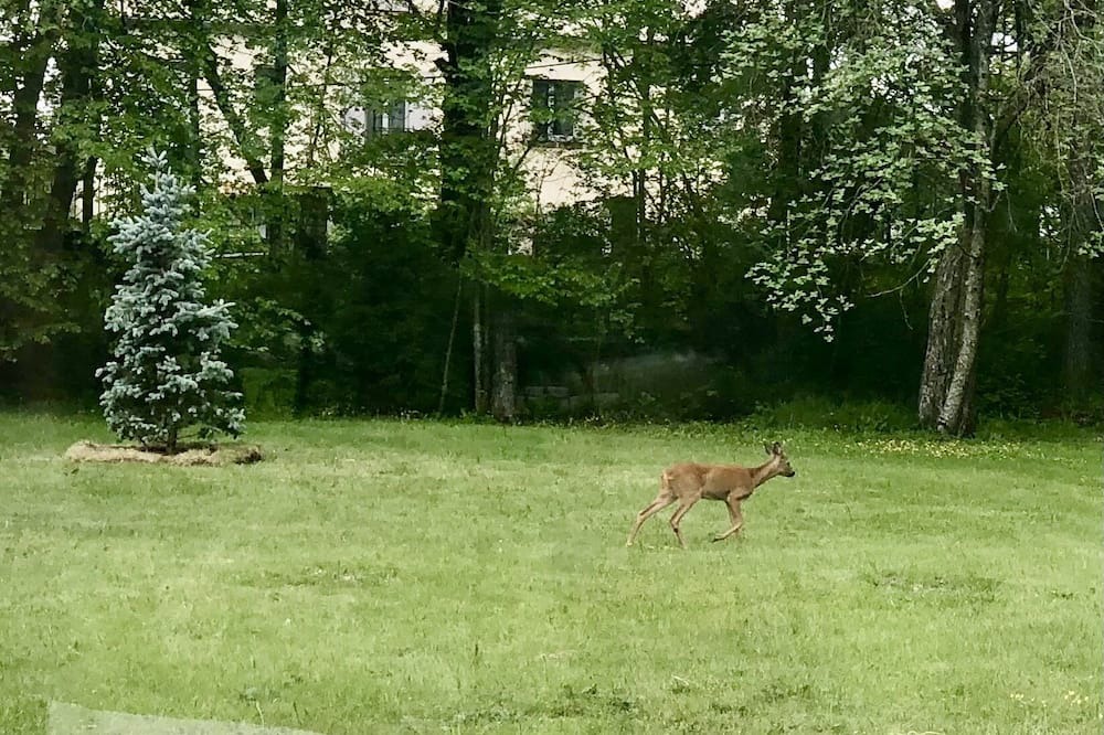 Photo of Outdoor in Seranon