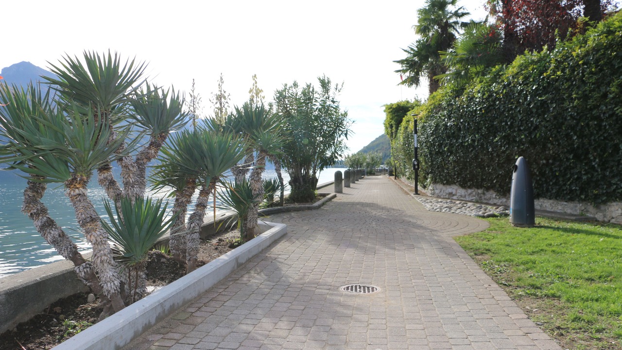 Photo of Others in Melide