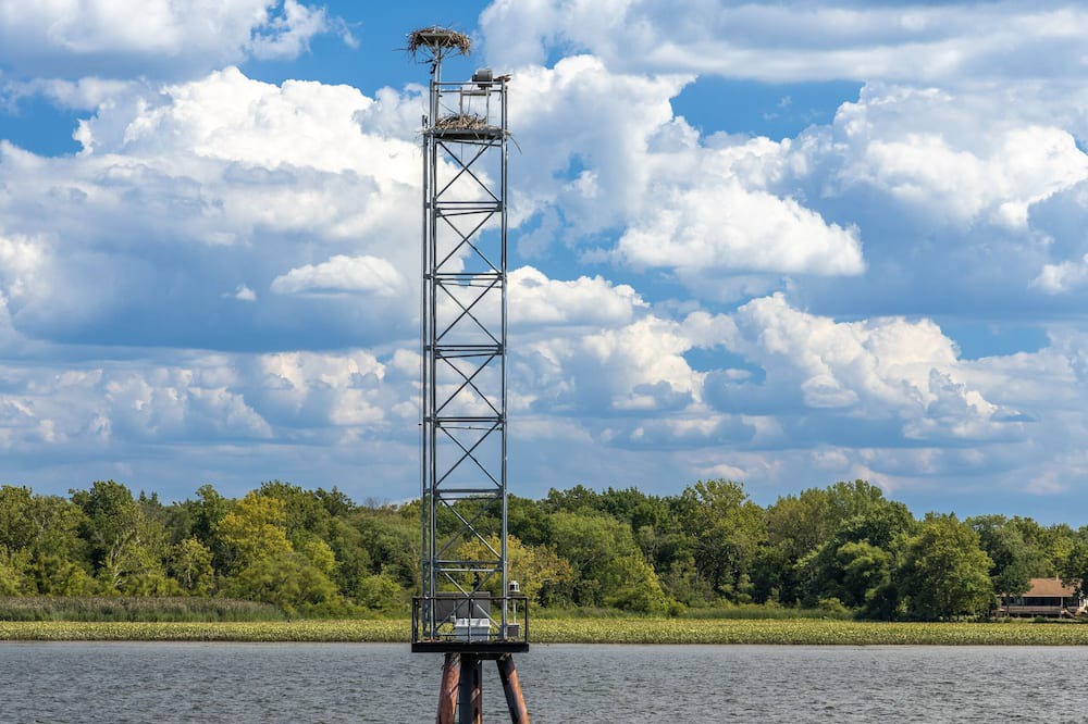 Photo of Others in West Bristol