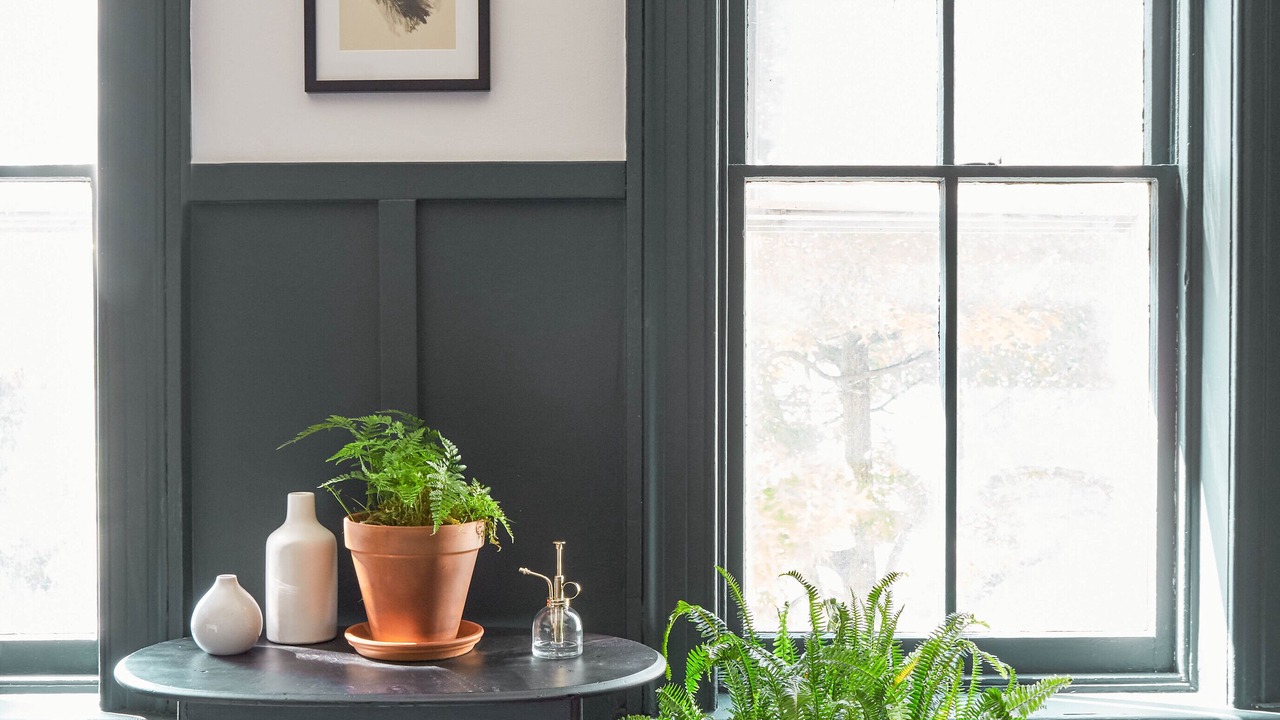 Photo of Others in Kingston