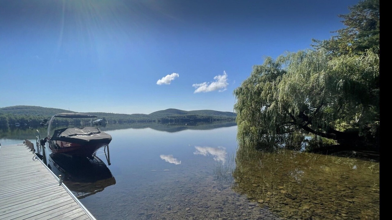 Photo of Others in New Limerick