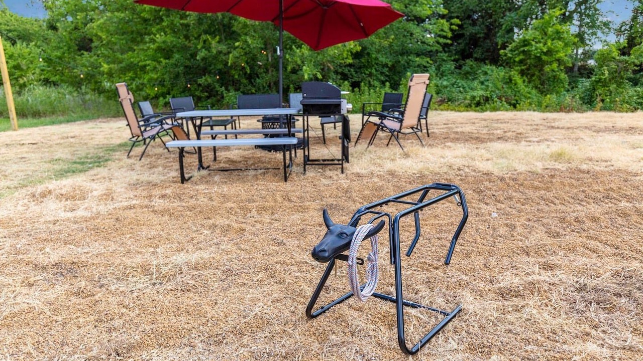 Photo of Outdoor in Wills Point