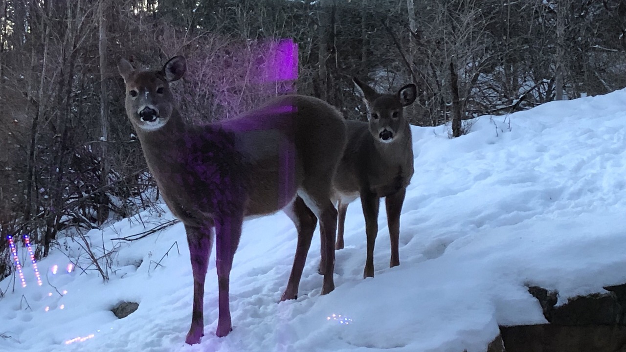 Photo of Outdoor in Wakefield