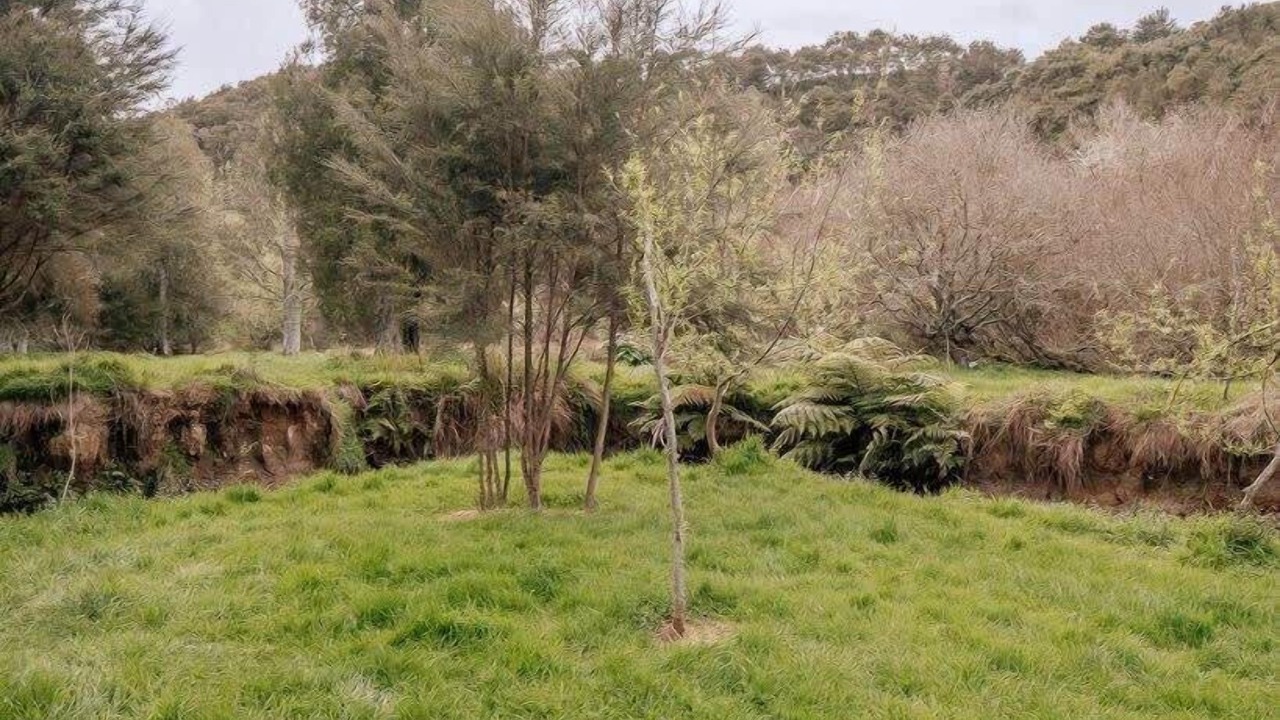 Photo of Outdoor in Waerenga