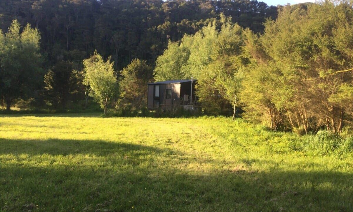 Photo of Others in Waerenga