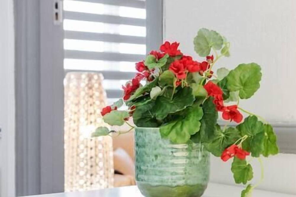 Photo of Others in Harlington