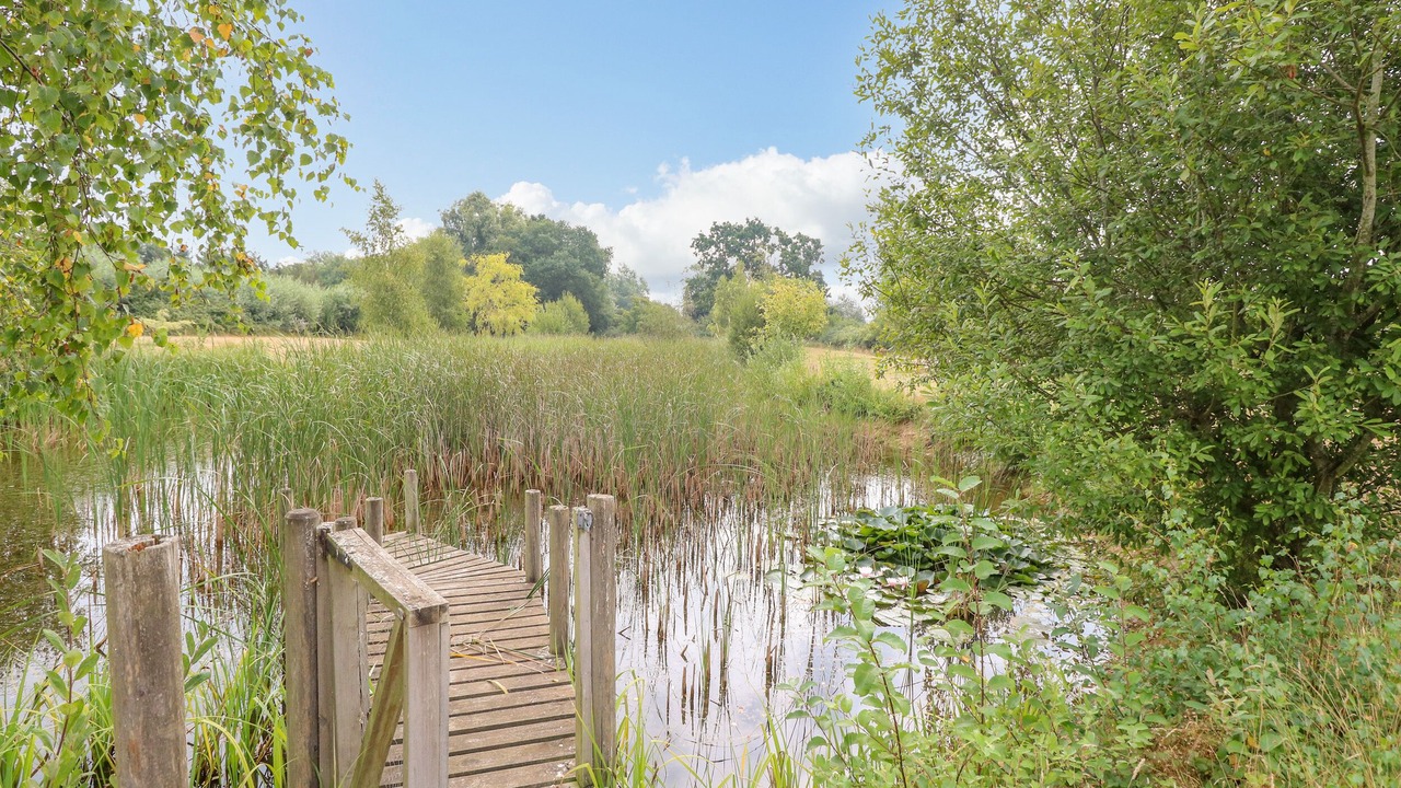 Photo of Outdoor in Hickling