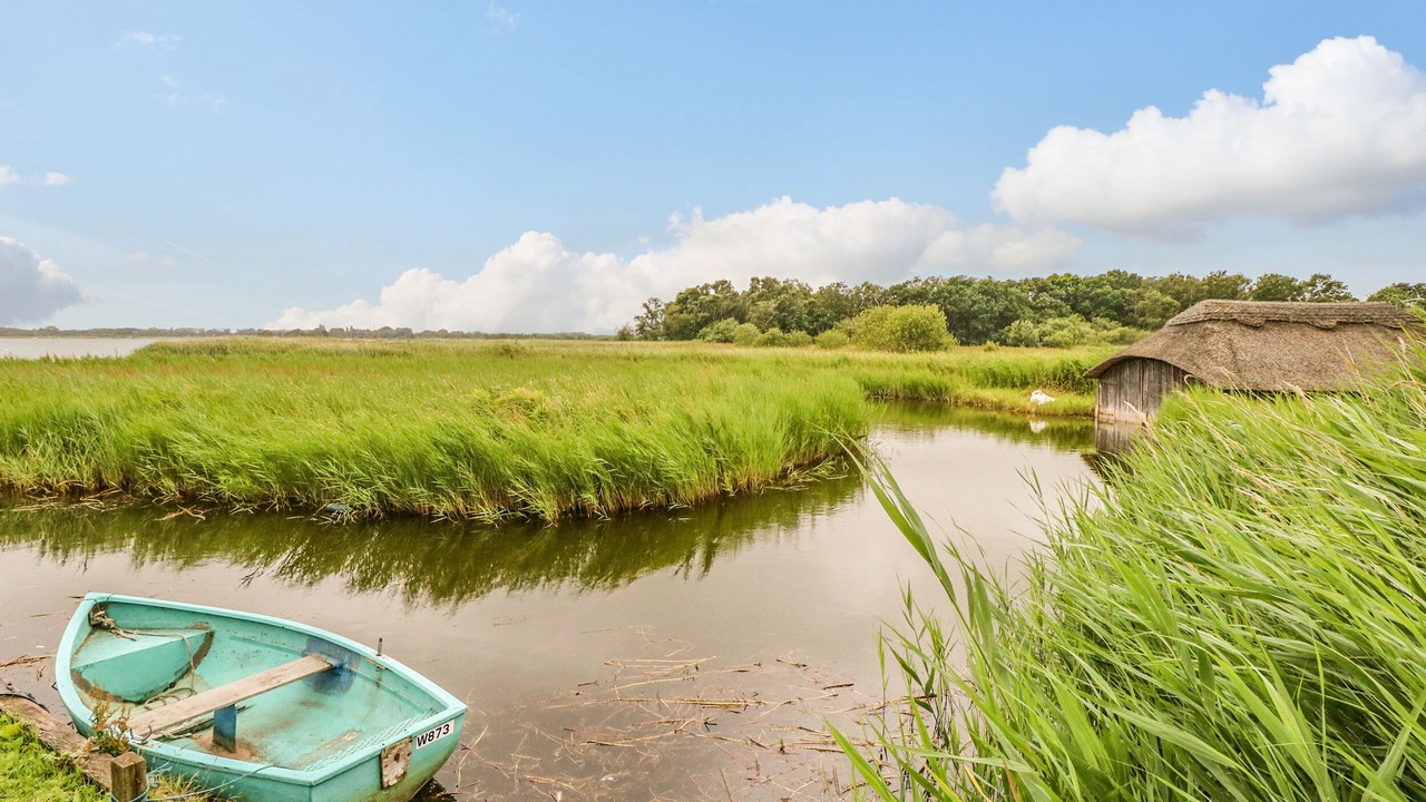 Photo of Others in Hickling