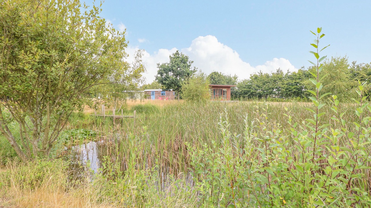 Photo of Outdoor in Hickling