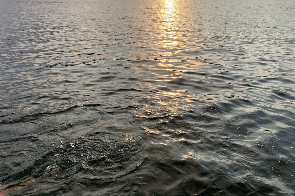 Photo of Others in Harveys Lake