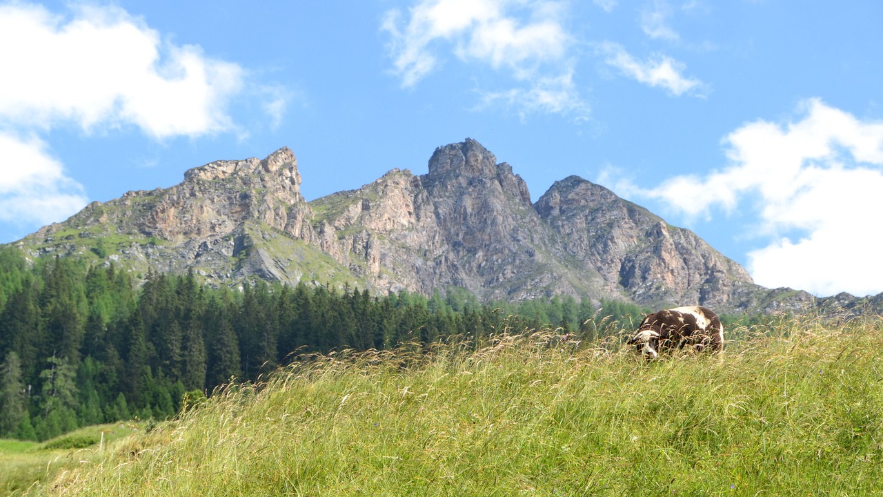 Photo of Others in Vals