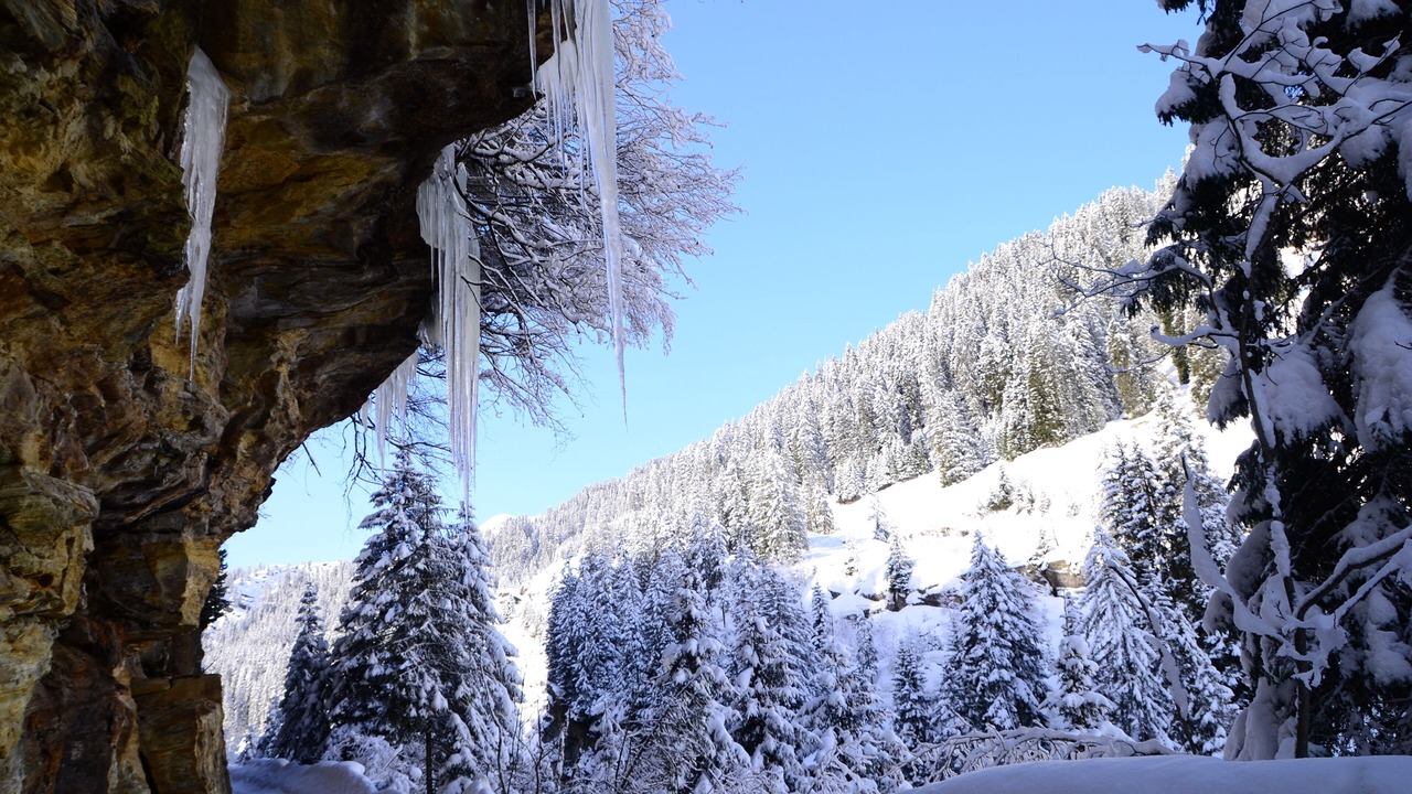 Photo of Others in Vals