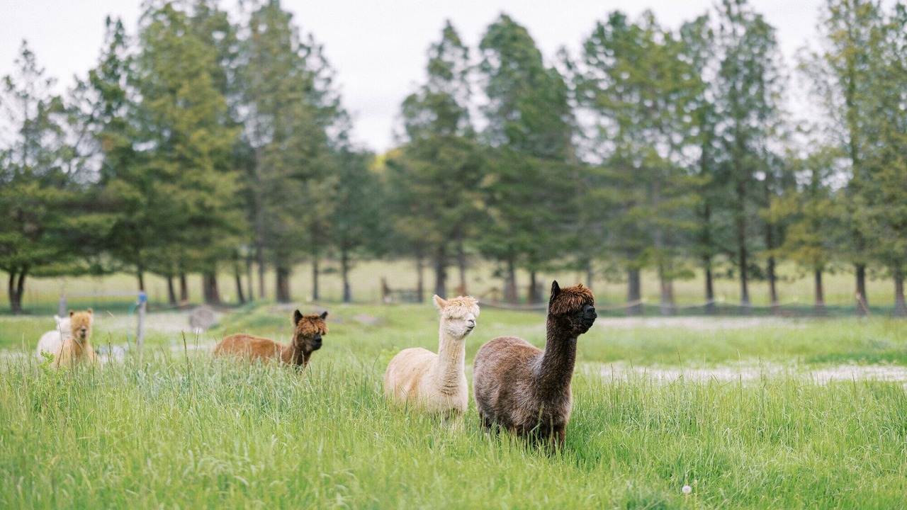 Photo of Others in Friday Harbor